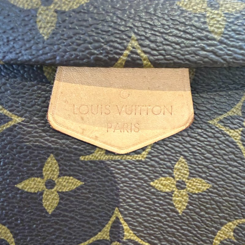 LV Bumbag 老花胸腰包-7