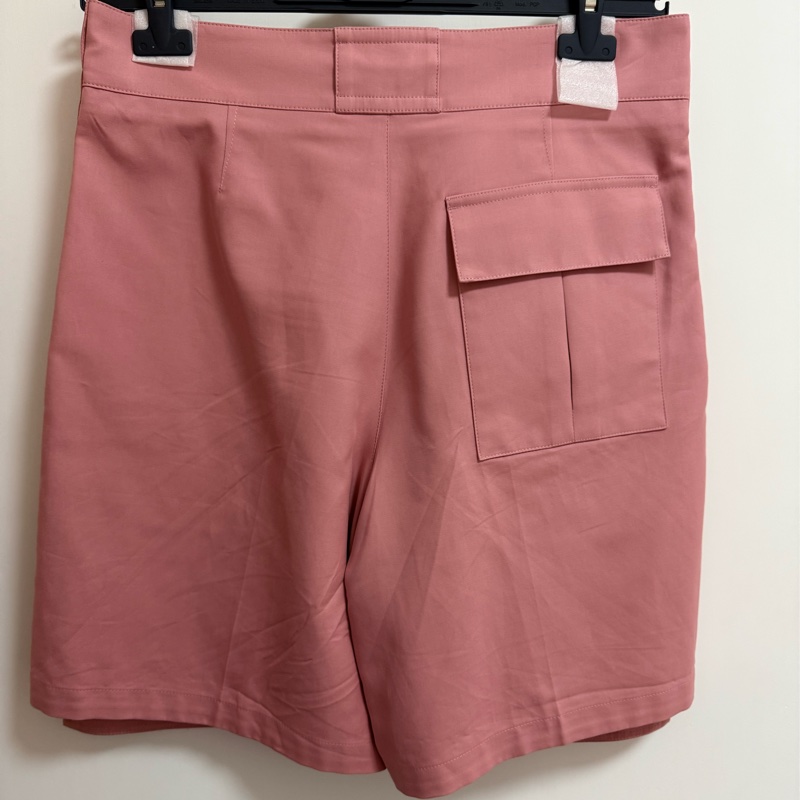 Dior pink cargo shorts with ALYX buckle 46 短褲-2