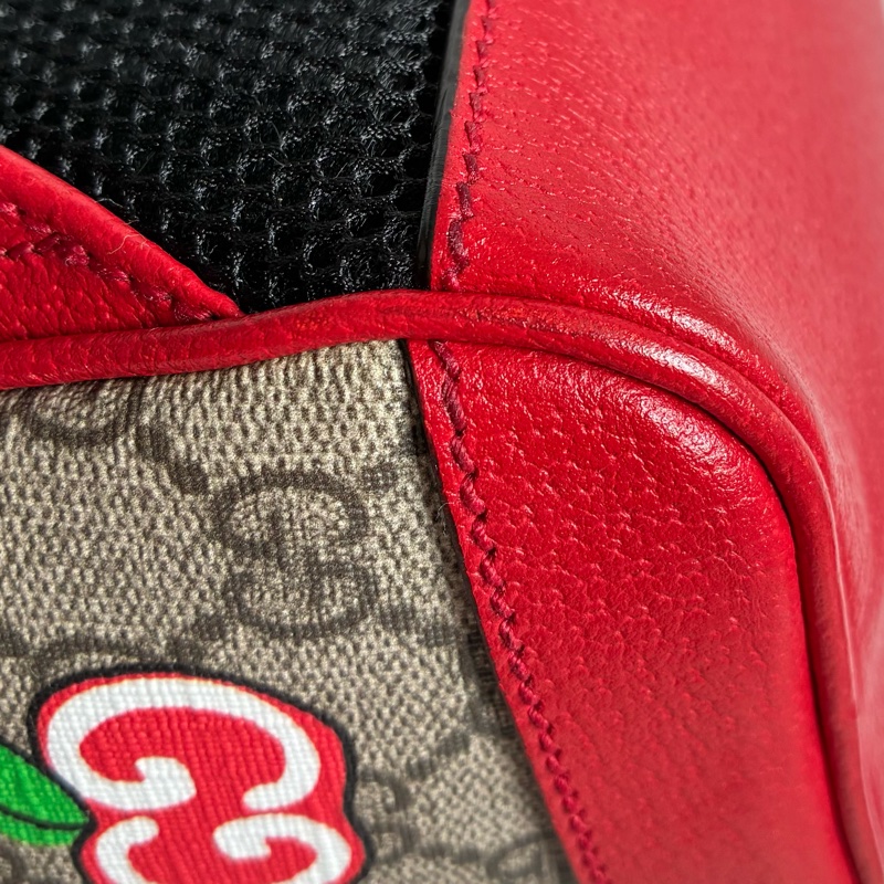 Gucci限定款蘋果後背包 小書包 特殊款-24