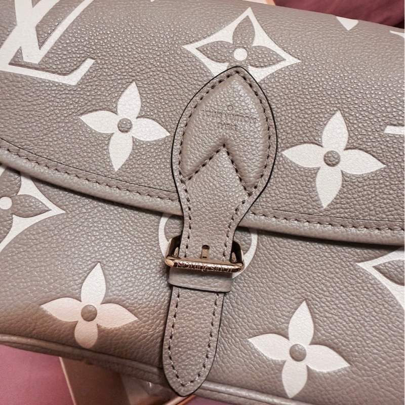 LV Diane 法棍包 M46583｜斑鳩灰｜全新未使用｜專櫃正品-2