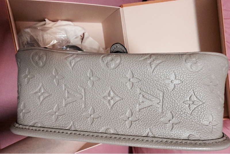 LV Diane 法棍包 M46583｜斑鳩灰｜全新未使用｜專櫃正品-5