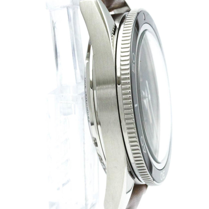 歐米茄海馬300公尺至臻同軸腕錶 233.32.41.21.01.002 拋光款-8