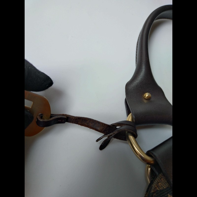 Fendi 咖把動物紋FF布直式托特包-39