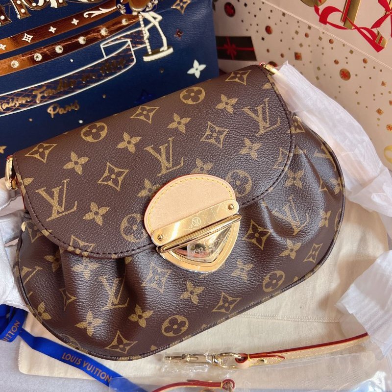 全新品 路易威登/Louis Vuitton Sunset 元寶包老花腋下包 附件塵袋-5