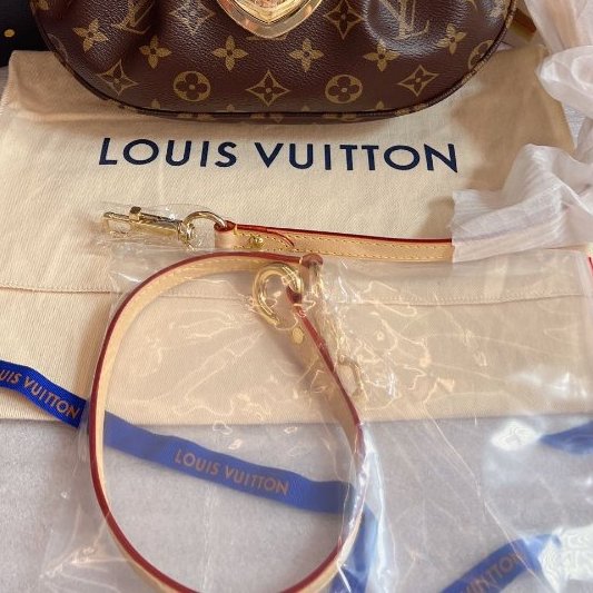 全新品 路易威登/Louis Vuitton Sunset 元寶包老花腋下包 附件塵袋-7