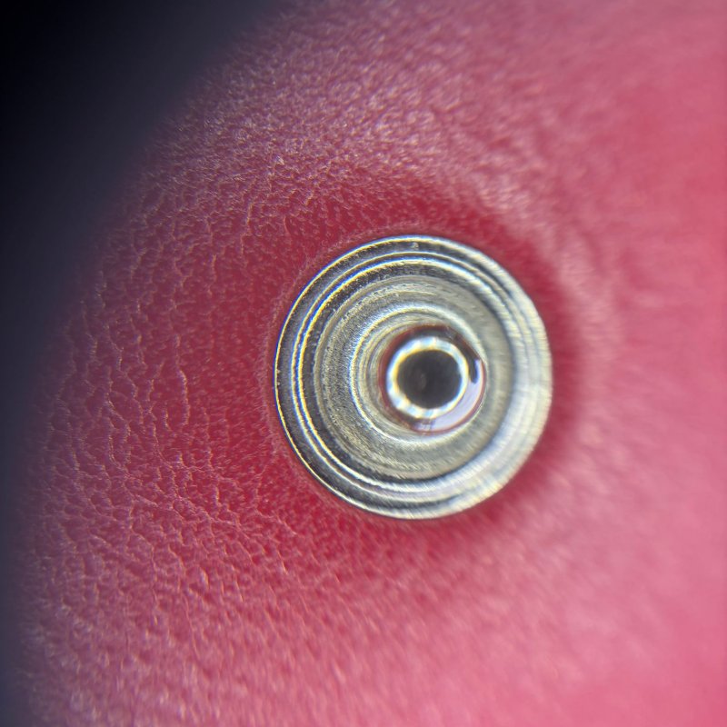 Chanel（香奈兒）荔枝紋翻蓋包-21