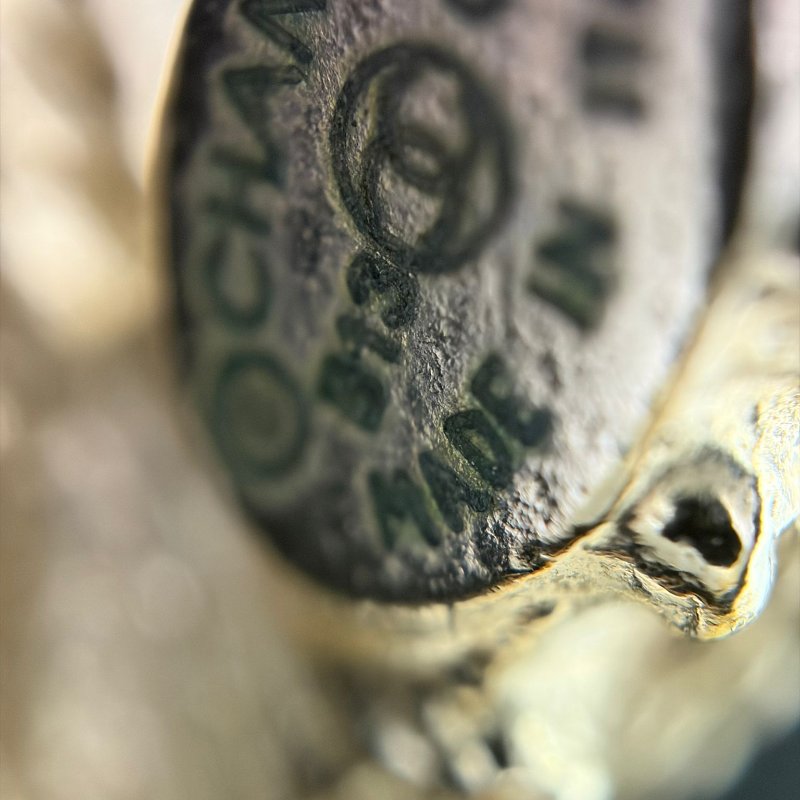 香奈兒（Chanel）雙 C 耳環-11