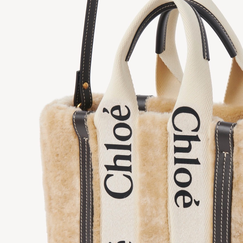 Chloe 女士 WOODY 小號托特包均碼碼26.5cm*8cm*20cm-2