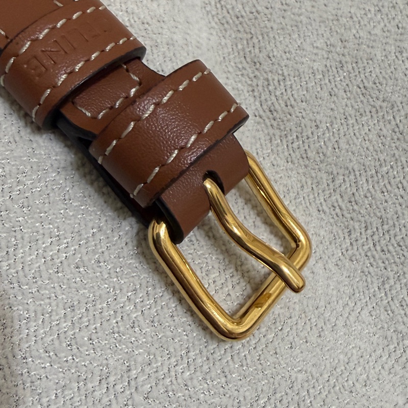 Celine mini besace-12