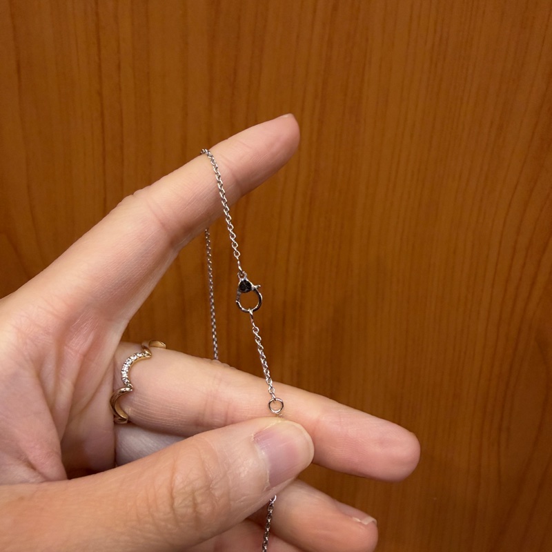 Hermes 白K金滿鑽Fintsse項鍊-5