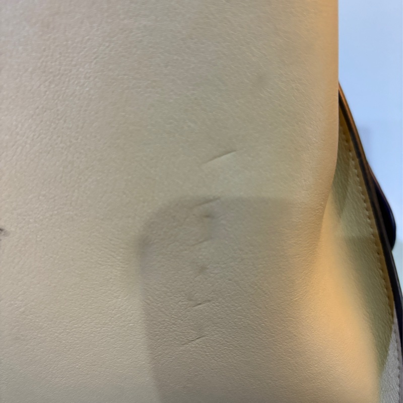 Celine Trapeze 拚色 牛皮 提包-10