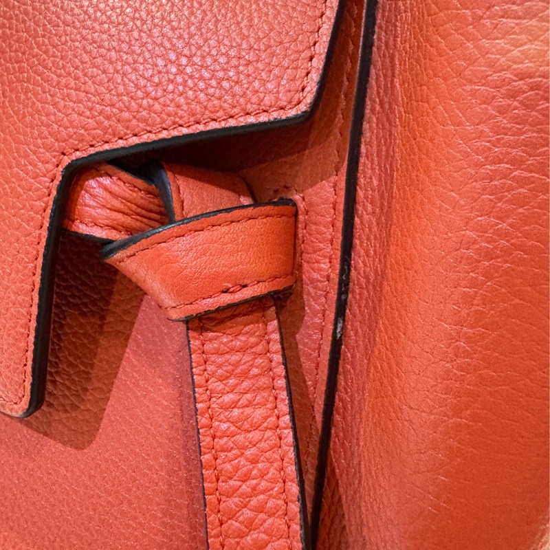 Celine Belt Bag (大尺寸）-2