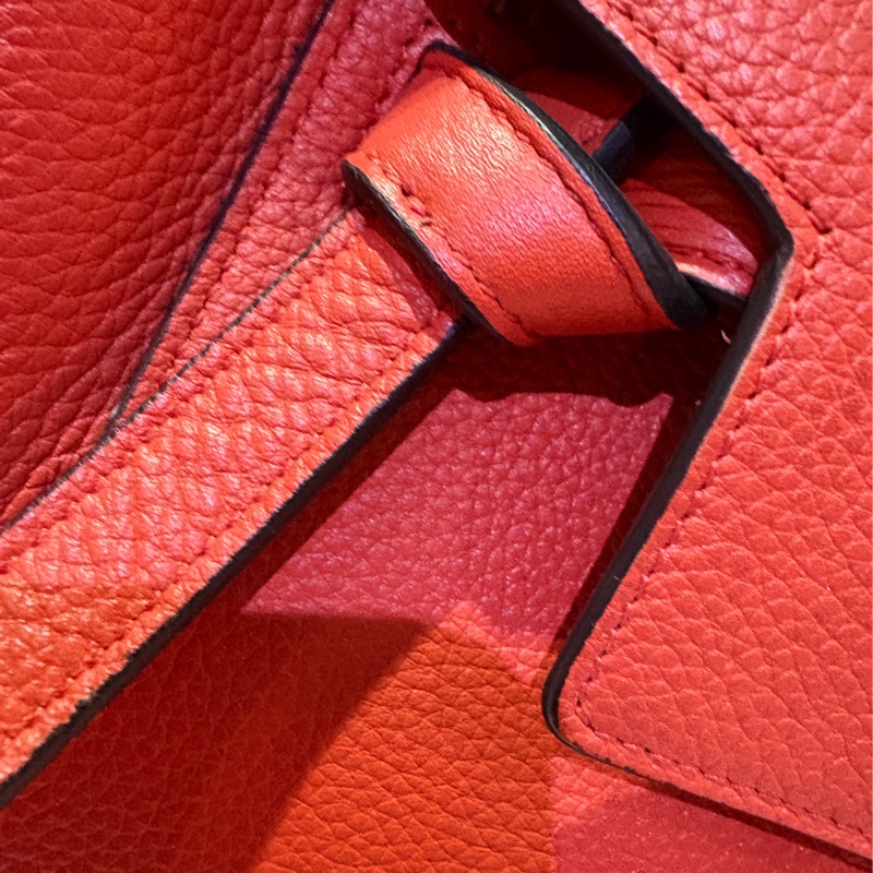 Celine Belt Bag (大尺寸）-7
