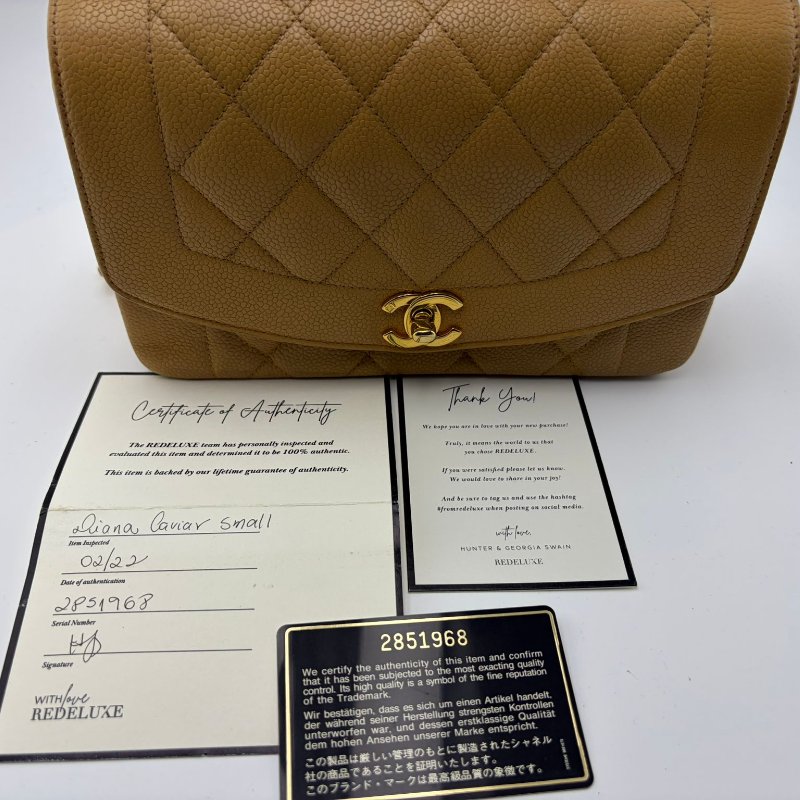 香奈兒 Diana 中號菱格紋鍊條包-1