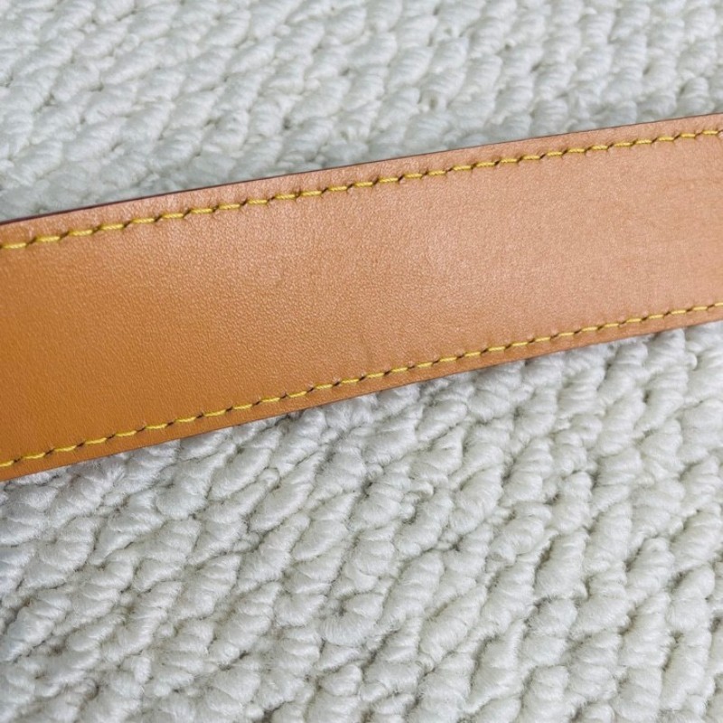 lrz hz ZZZ LOUIS VUITTON  芯片款 Carryall PM 經典老花滿印購物袋 手提單肩包托特包-14