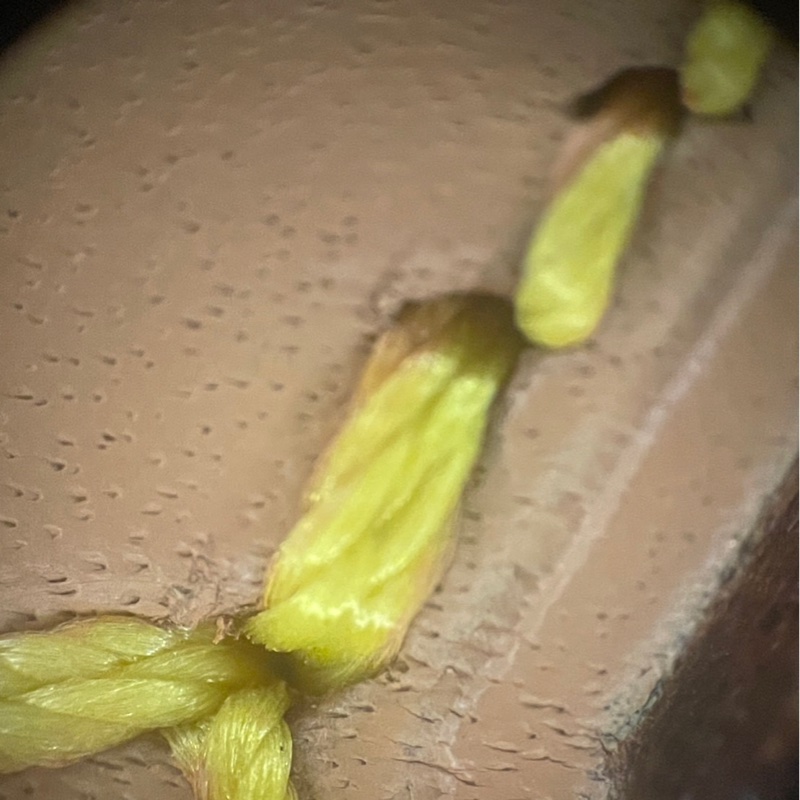 LV Louis Vuitton 二手 老花 後背包-26