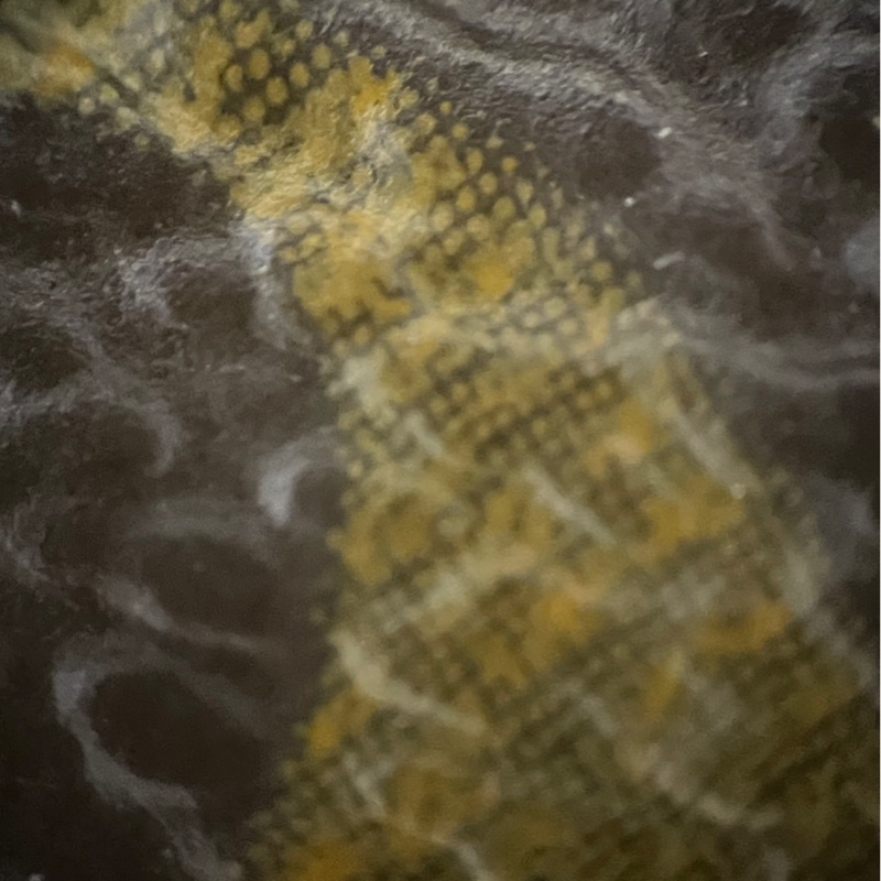 LV Louis Vuitton 二手 老花 後背包-29