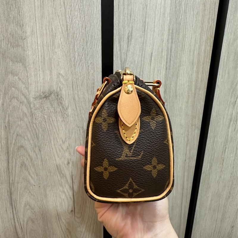 Nano Speedy Louis Vuitton-3