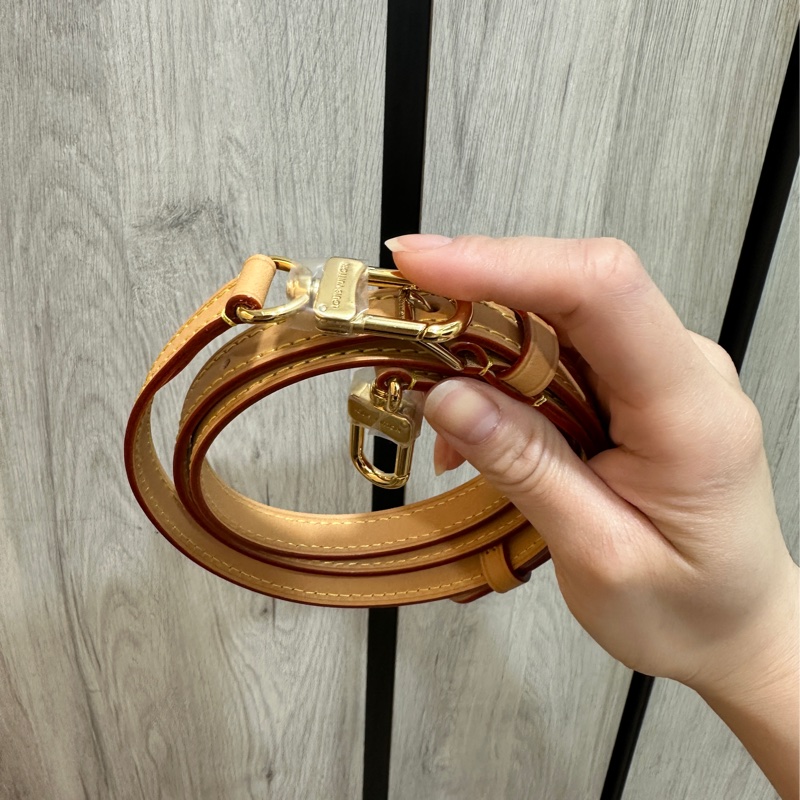 Nano Speedy Louis Vuitton-20