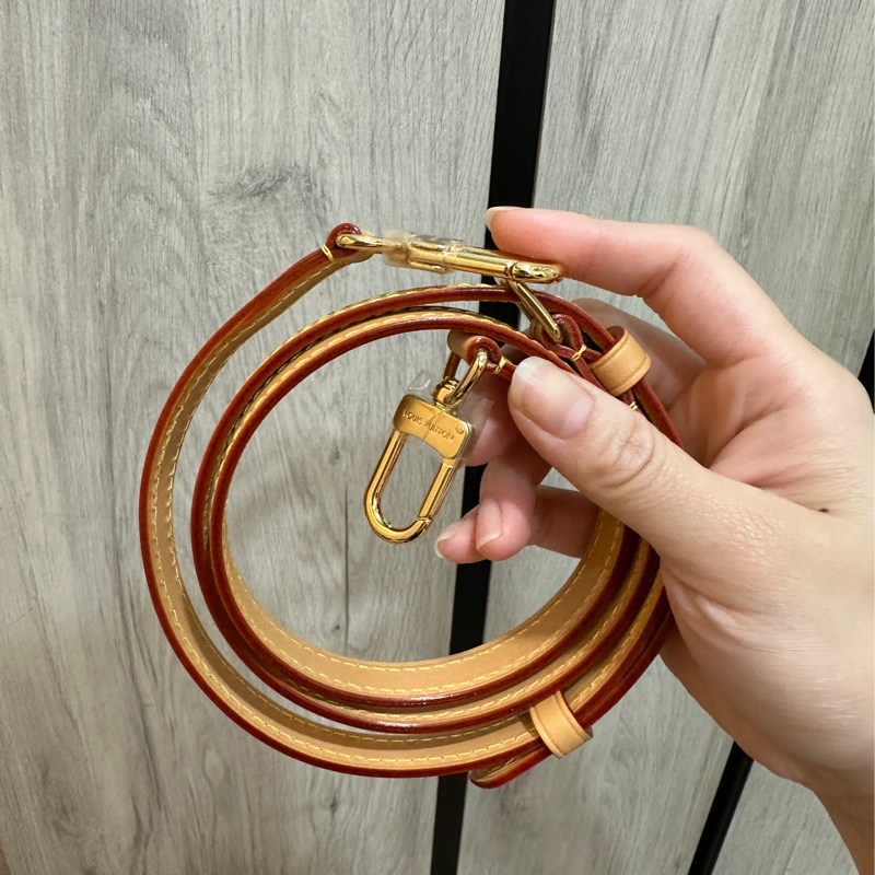 Nano Speedy Louis Vuitton-23