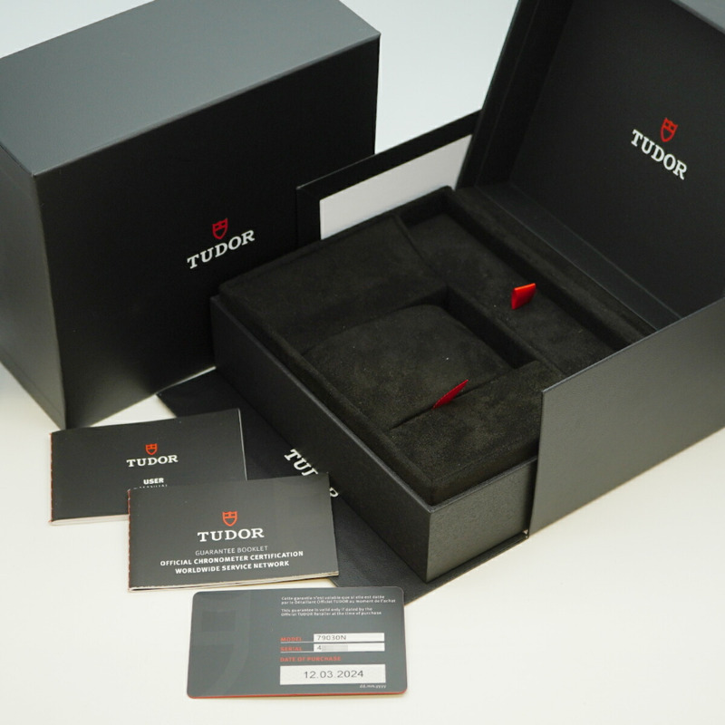 帝舵碧灣系列 79030N 錶盤男士腕錶-1