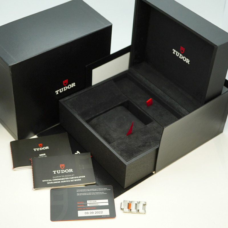 帝舵碧灣系列 79230R 錶盤男士腕錶-1