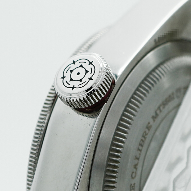 帝舵碧灣系列 79230R 錶盤男士腕錶-11