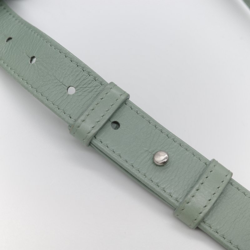 Bottega Veneta 寶緹嘉 Cassette 開心果綠 紙感小牛皮 肩背包-14