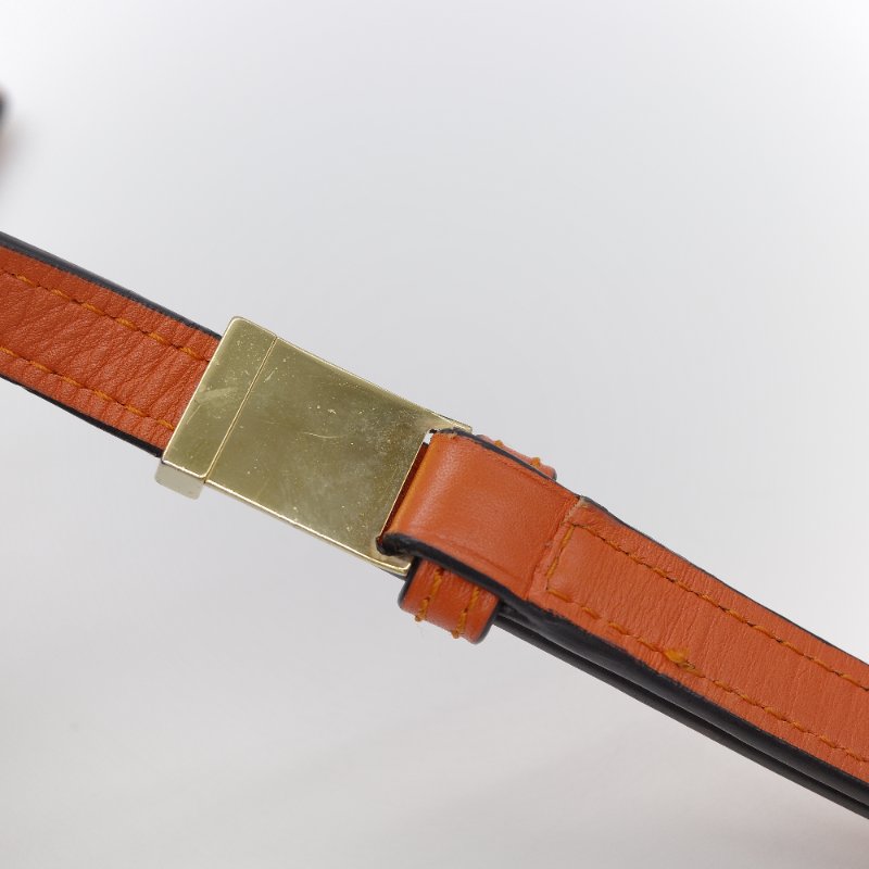 Loewe 羅威 Barcelona 橘色 牛皮 小號 斜背包-24