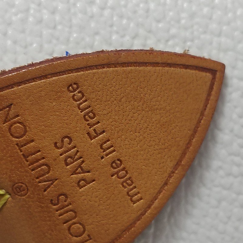 Louis Vuitton(LV)Speedy30植鞣革白三彩波士頓包手提包-12