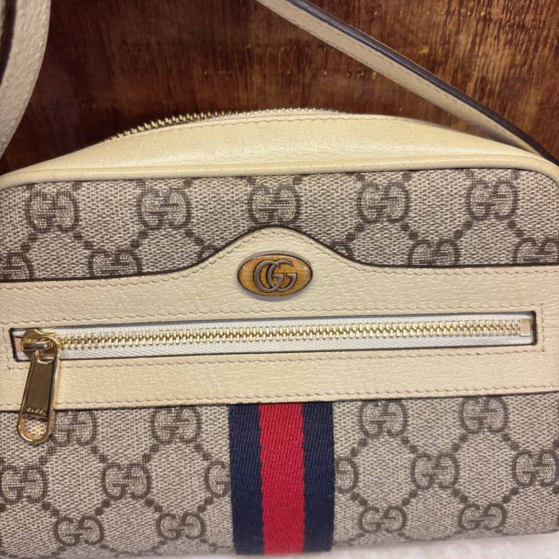 Gucci Ophidia GG 肩背包-1