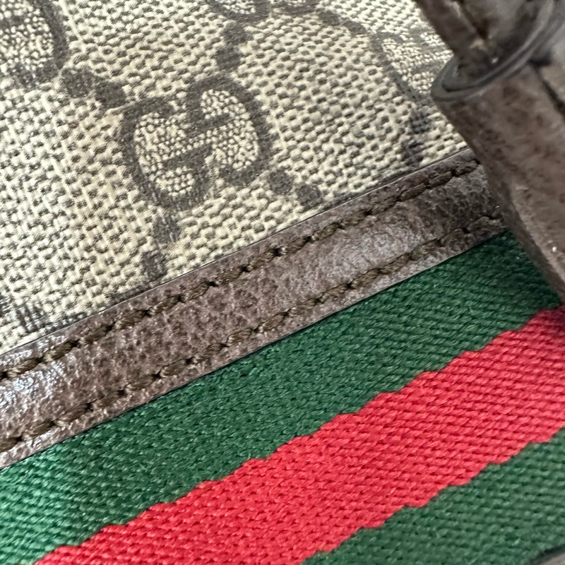 Gucci 550620 老花PVc綠紅綠Ophidia GG nano mini noe-19