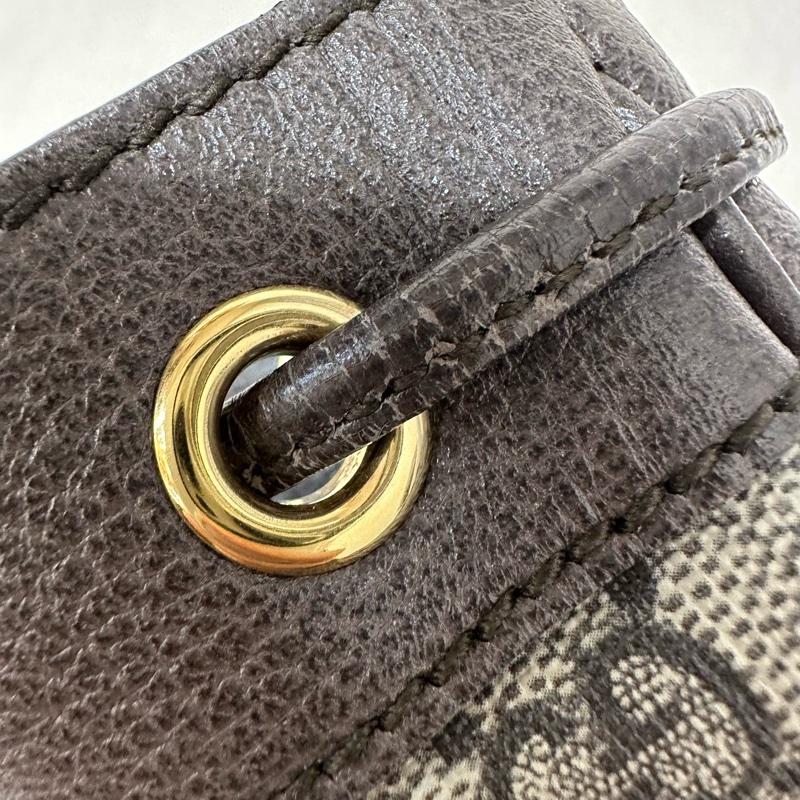 Gucci 550620 老花PVc綠紅綠Ophidia GG nano mini noe-27