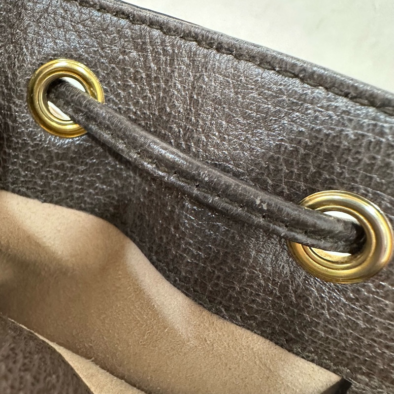 Gucci 550620 老花PVc綠紅綠Ophidia GG nano mini noe-41