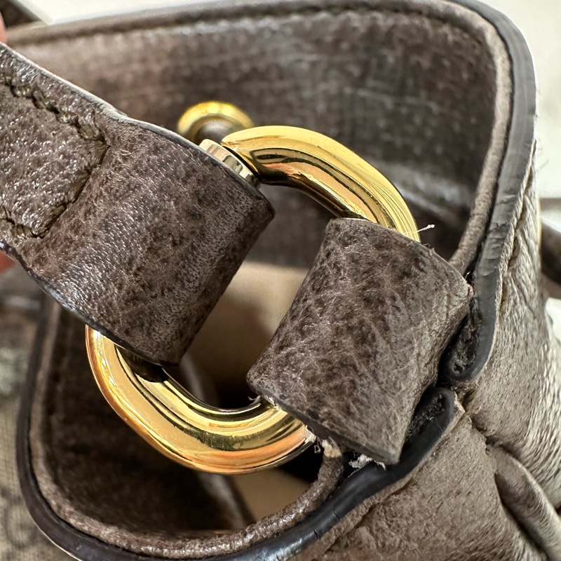 Gucci 550620 老花PVc綠紅綠Ophidia GG nano mini noe-45