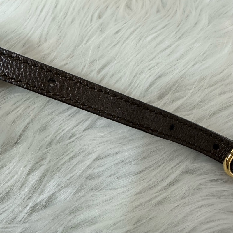 Gucci 550620 老花PVc綠紅綠Ophidia GG nano mini noe-59