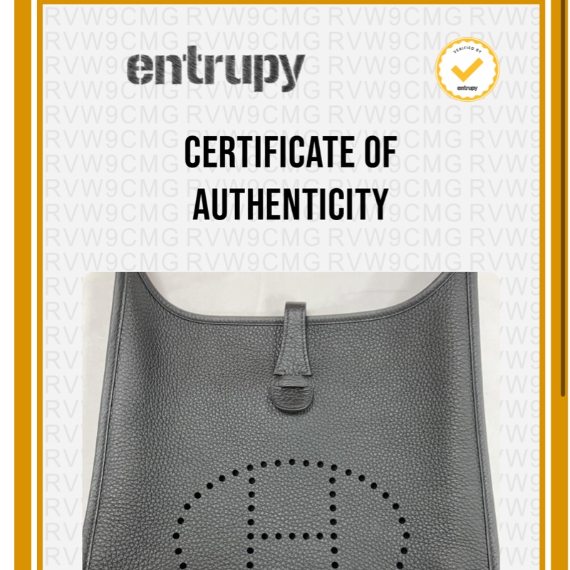 Hermès Evelyne 黑銀29-10