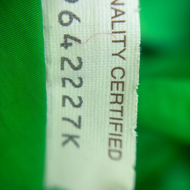 Bottega Veneta（葆蝶家）The Pouch 系列 手拿包-9