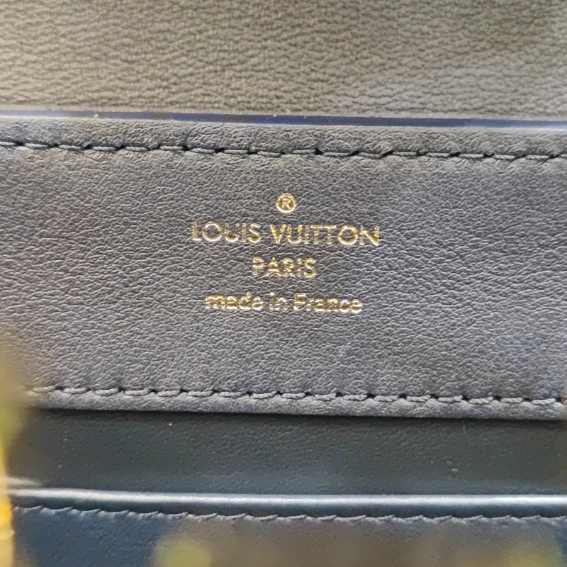 Louis Vuitton Capucines 1854 Mini-12