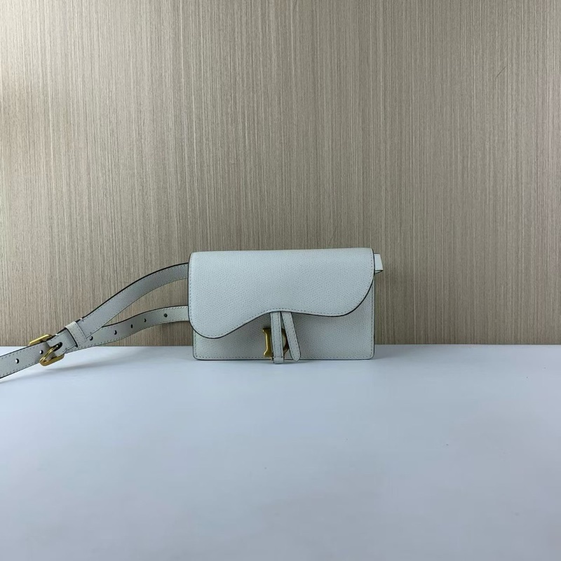 Dior saddle系列白色馬鞍腰包 胸包 17*11 98新配件塵袋-0