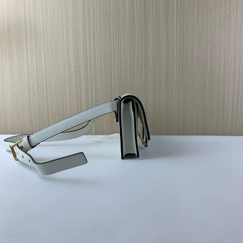Dior saddle系列白色馬鞍腰包 胸包 17*11 98新配件塵袋-4
