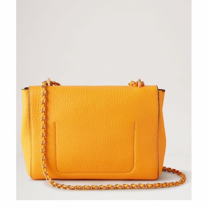 Mulberry 女士 徽標單肩包均碼碼21 X 8.9 X 17 CM-1