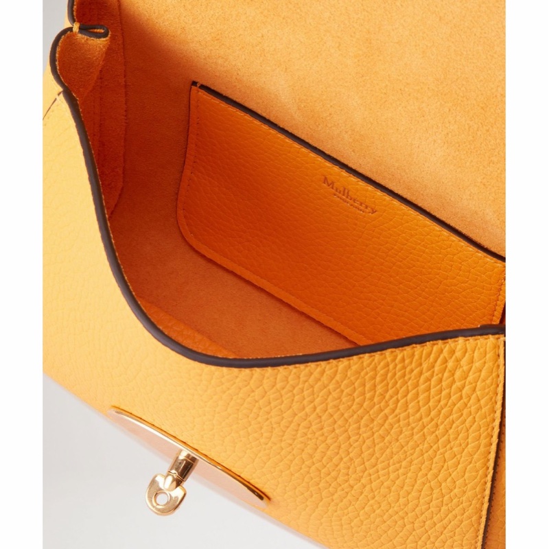 Mulberry 女士 徽標單肩包均碼碼21 X 8.9 X 17 CM-3