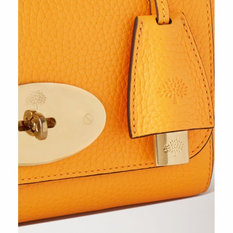 Mulberry 女士 徽標單肩包均碼碼21 X 8.9 X 17 CM-4