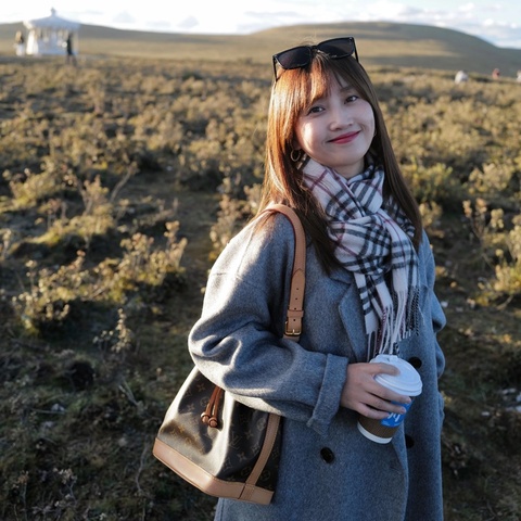 【97新 ✨ 全網最低價！】Louis Vuitton Noe 水桶包 BB