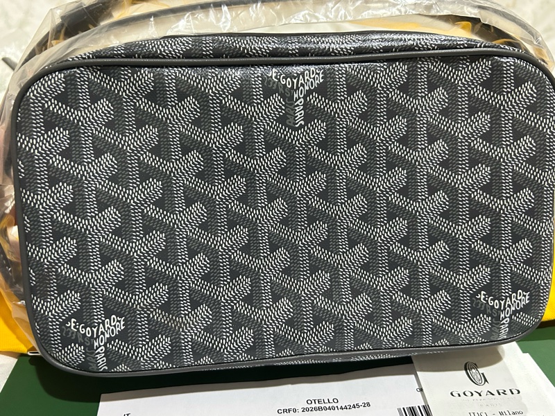 全新灰色GOYARD CAP-VERT相機包-2