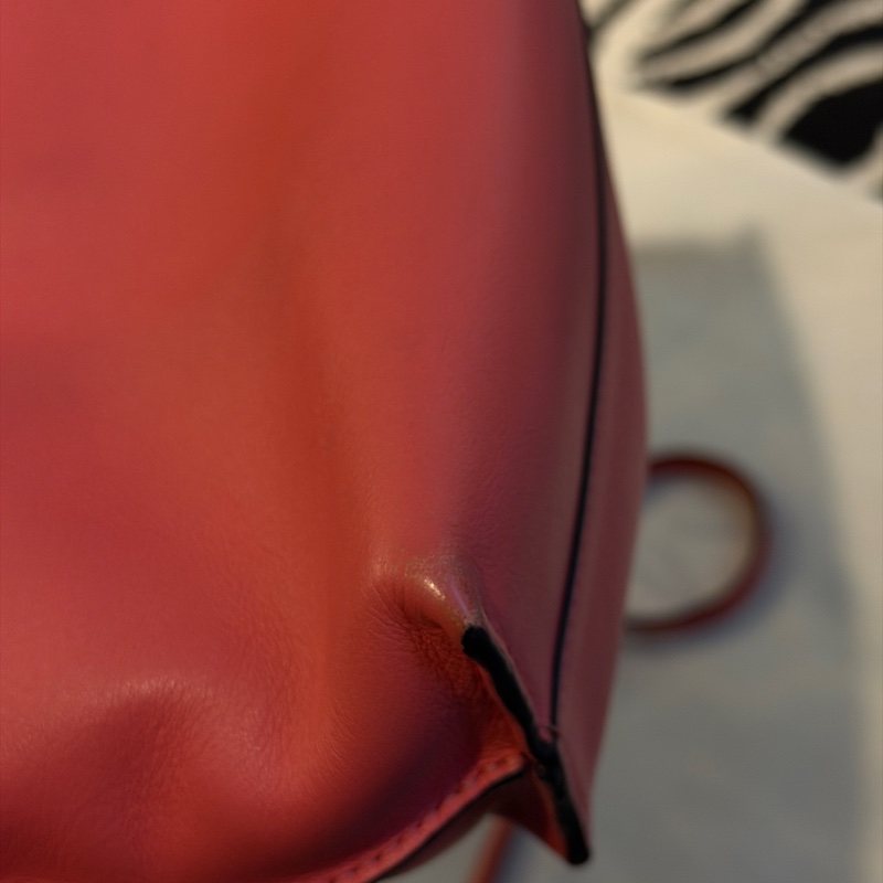 Loewe flamenco mini 珊瑚粉 斜背 肩背 手提-6