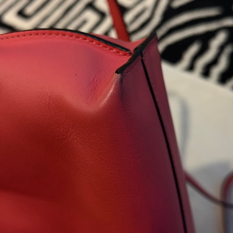 Loewe flamenco mini 珊瑚粉 斜背 肩背 手提-7