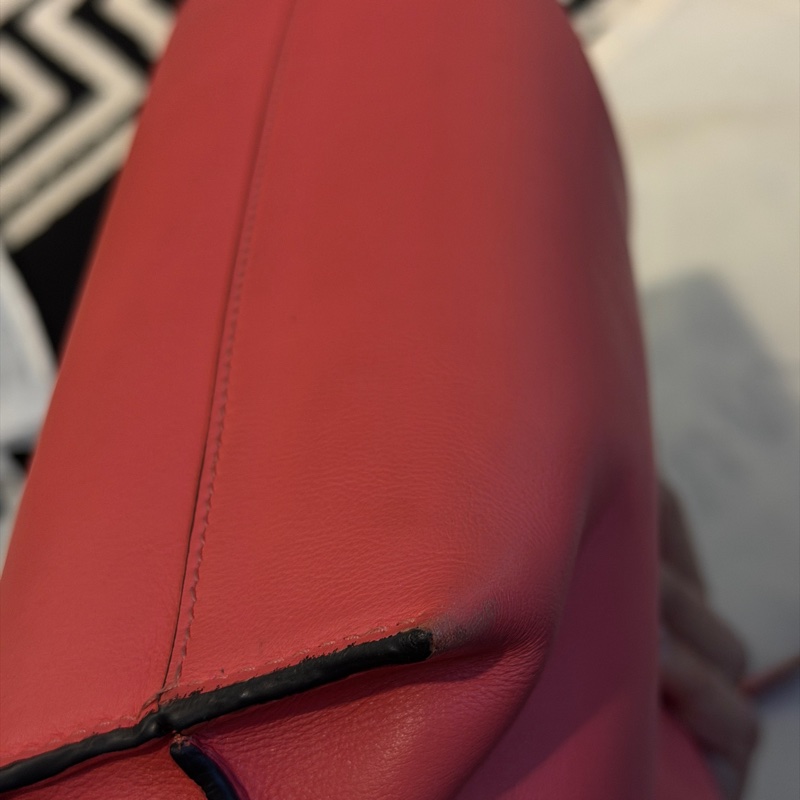 Loewe flamenco mini 珊瑚粉 斜背 肩背 手提-9