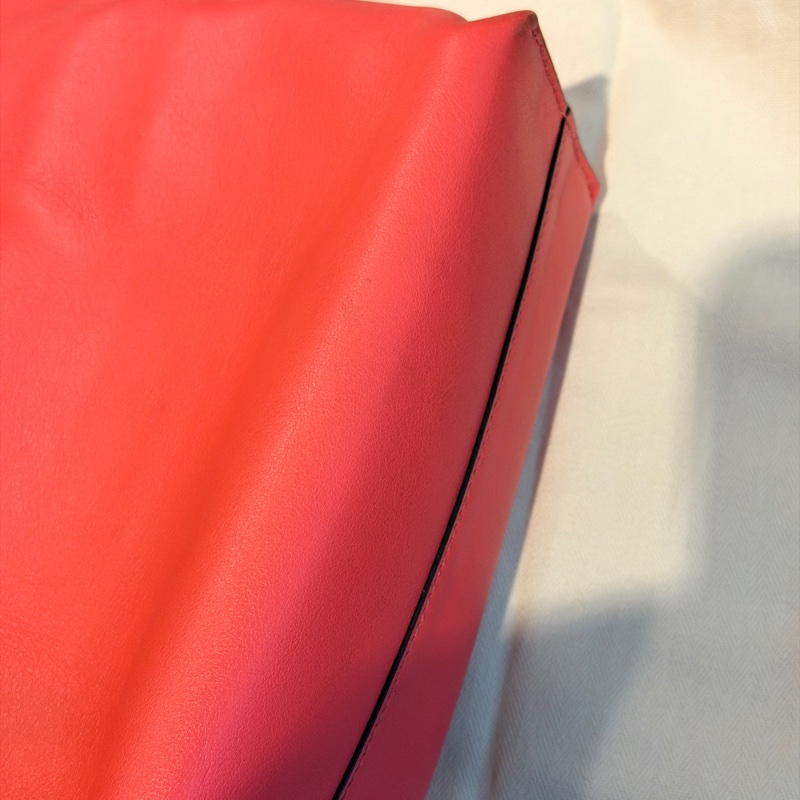 Loewe flamenco mini 珊瑚粉 斜背 肩背 手提-11